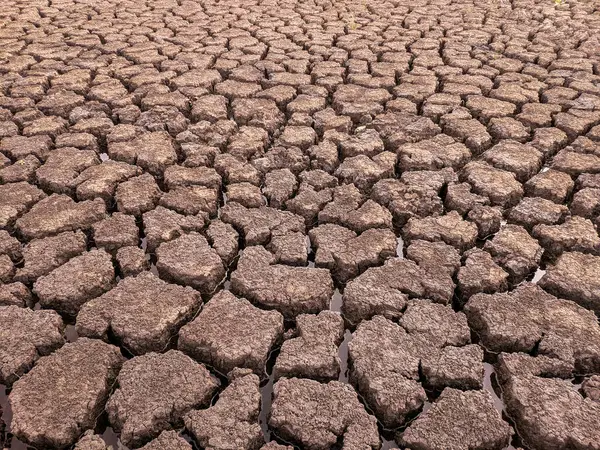 Dried Cracked Lake Bottom Background Texture Global Warming — Stock Photo, Image