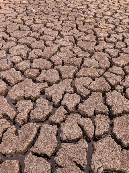 Essiccato Incrinato Fondo Del Lago Texture Riscaldamento Globale — Foto Stock