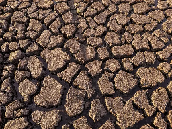 乾燥した割れた湖底のテクスチャ 地球温暖化 — ストック写真