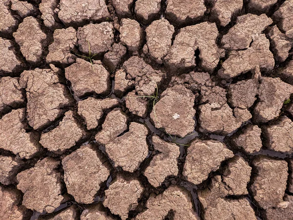 Essiccato Incrinato Fondo Del Lago Texture Riscaldamento Globale — Foto Stock