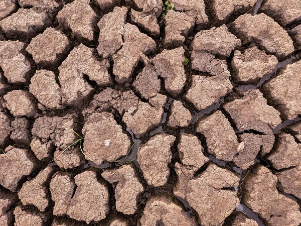 Torkad Sprucken Sjö Botten Bakgrund Struktur Global Uppvärmning — Stockfoto