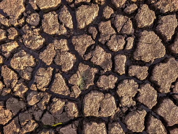 Essiccato Incrinato Fondo Del Lago Texture Riscaldamento Globale — Foto Stock