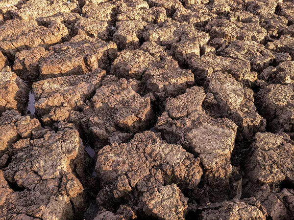 Essiccato Incrinato Fondo Del Lago Texture Riscaldamento Globale — Foto Stock