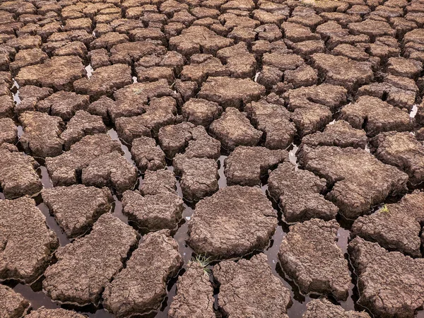 Essiccato Incrinato Fondo Del Lago Texture Riscaldamento Globale — Foto Stock