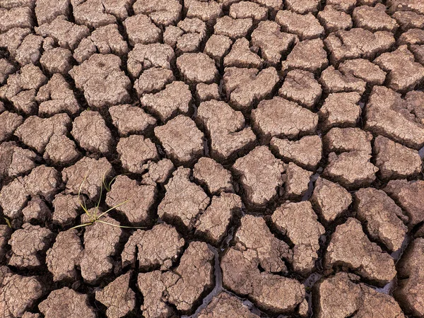 Essiccato Incrinato Fondo Del Lago Texture Riscaldamento Globale — Foto Stock