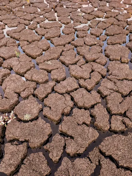 Dried Cracked Lake Bottom Background Texture Global Warming — Stock Photo, Image