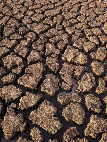 乾燥した割れた湖底のテクスチャ 地球温暖化 — ストック写真