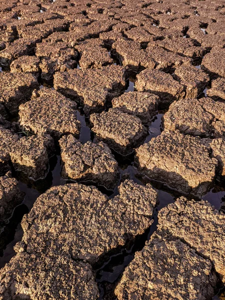 stock image Dried cracked lake bottom background texture global warming