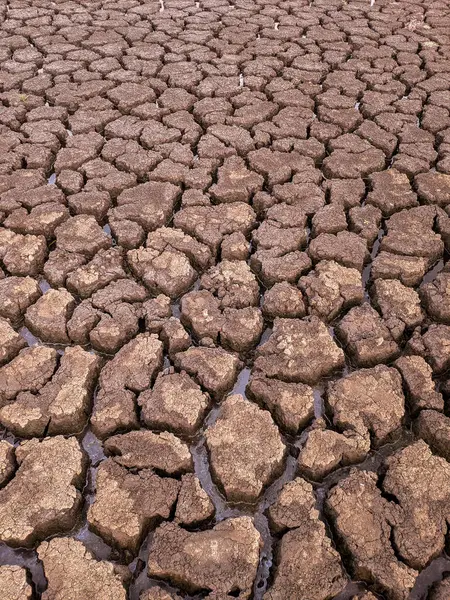 Essiccato Incrinato Fondo Del Lago Texture Riscaldamento Globale — Foto Stock