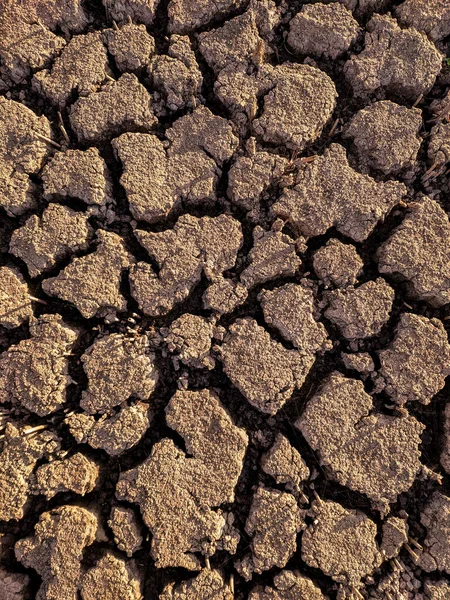 Dried Cracked Lake Bottom Background Texture Global Warming — Stock Photo, Image