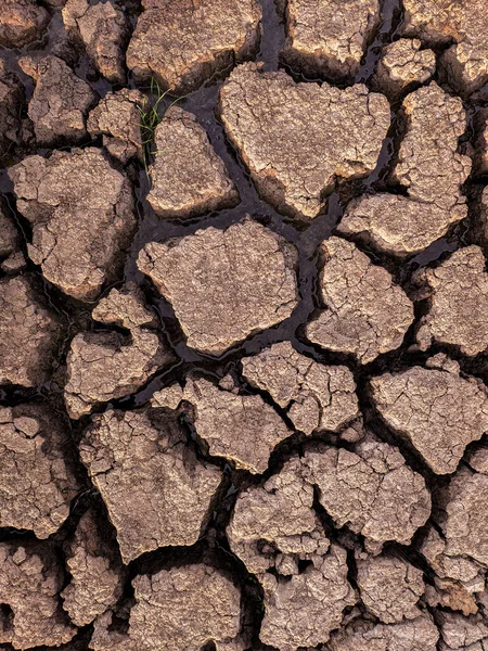 Essiccato Incrinato Fondo Del Lago Texture Riscaldamento Globale — Foto Stock