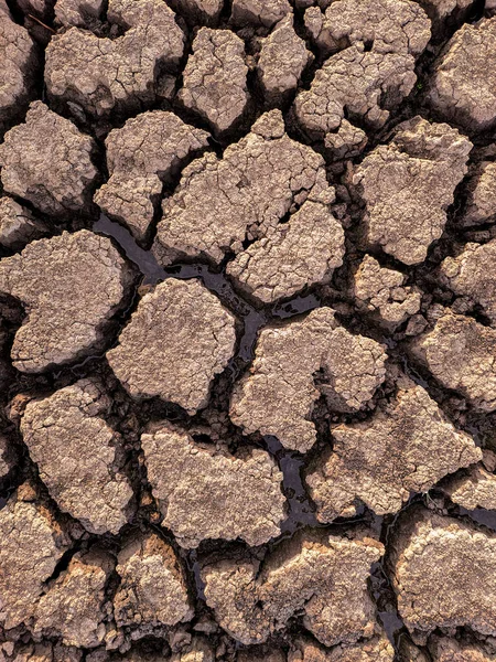 Essiccato Incrinato Fondo Del Lago Texture Riscaldamento Globale — Foto Stock