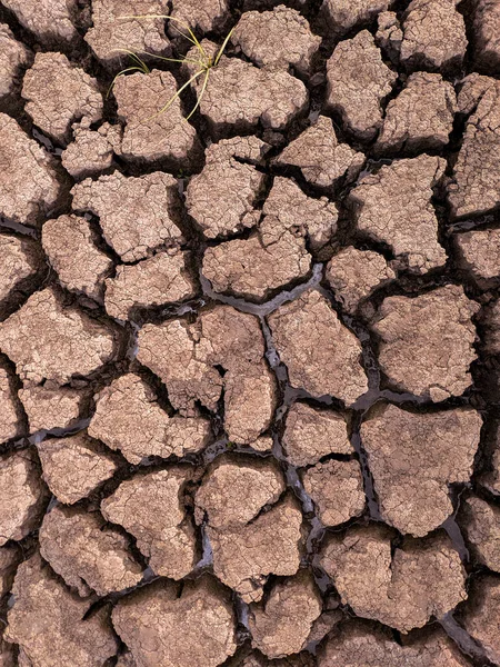 Getrockneter Rissiger Seeboden Hintergrund Textur Globale Erwärmung — Stockfoto