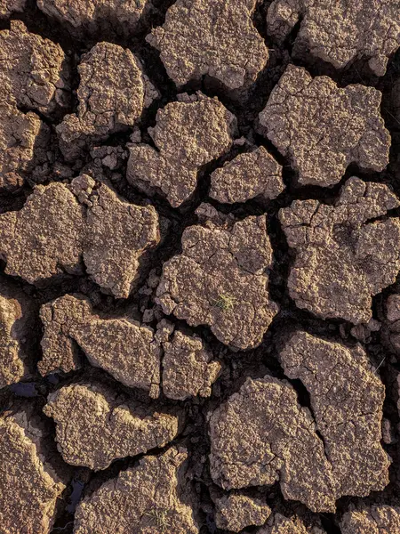 Dried Cracked Lake Bottom Background Texture Global Warming — Stock Photo, Image