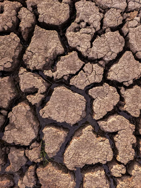 乾燥した割れた湖底のテクスチャ 地球温暖化 — ストック写真