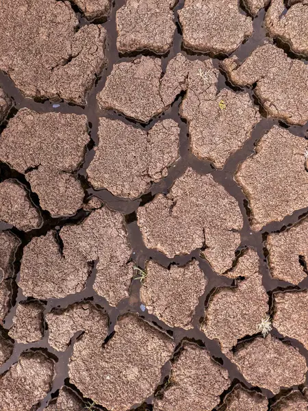 Dried Cracked Lake Bottom Background Texture Global Warming — Stock Photo, Image