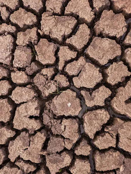 Сушена Тріщина Дна Озера Текстура Фону Глобального Потепління — стокове фото