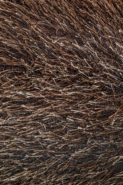 Коричневые Игрушечные Волосы Текстурные Ткани Искусственный Мех — стоковое фото