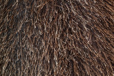 kahverengi oyuncak saç dokusu sahte kürk