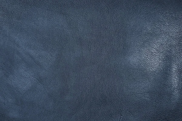 Textura Piel Oveja Azul Cuero Vaca Procesado —  Fotos de Stock