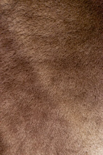 Braune Natürliche Schaffell Textur — Stockfoto