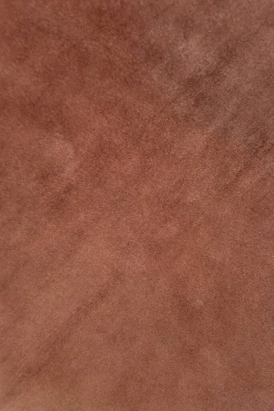 Texture Pelle Mucca Marrone — Foto Stock