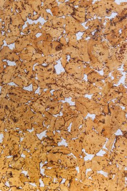 Doğal kahverengi mantar dokusu