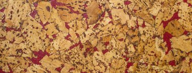 panorama doğal mantar dokusu