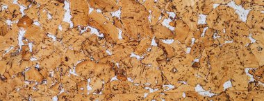 panorama doğal mantar dokusu