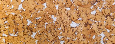 panorama doğal mantar dokusu