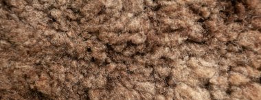 panorama kahverengi koyun derisi dokusu
