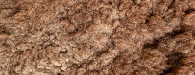 panorama kahverengi koyun derisi dokusu