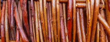 panorama hasır kahverengi dal dokusu