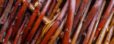 panorama hasır kahverengi dal dokusu