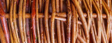 panorama hasır kahverengi dal dokusu