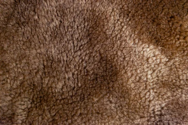 褐色の天然の羊皮の質感 — ストック写真