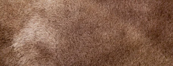 Tekstur Kulit Domba Coklat Panorama — Stok Foto