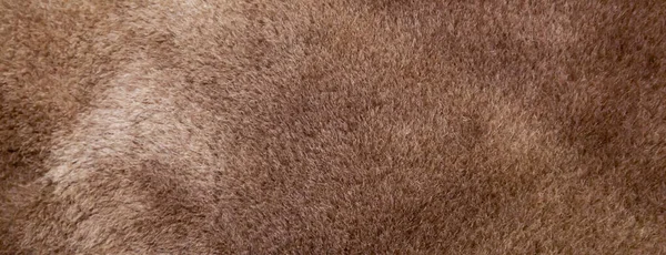 Panorama Brown Sheepskin Texture — Stock Photo, Image