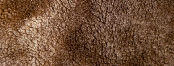 Panorama Braunes Schaffell Textur — Stockfoto