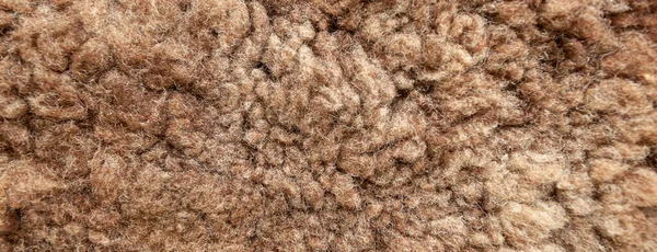 Panorama Marrone Texture Pelle Pecora — Foto Stock