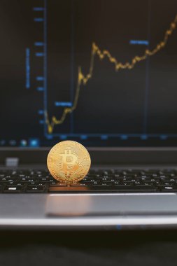 Bilgisayar klavyesi ve büyüme grafiği üzerindeki bitcoin