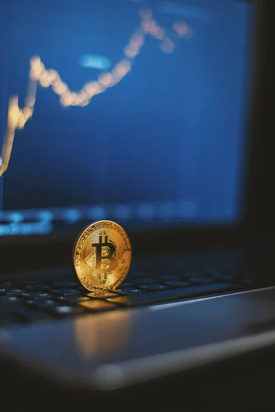 Bitcoin Auf Computertastatur Und Wachstumstabelle — Stockfoto