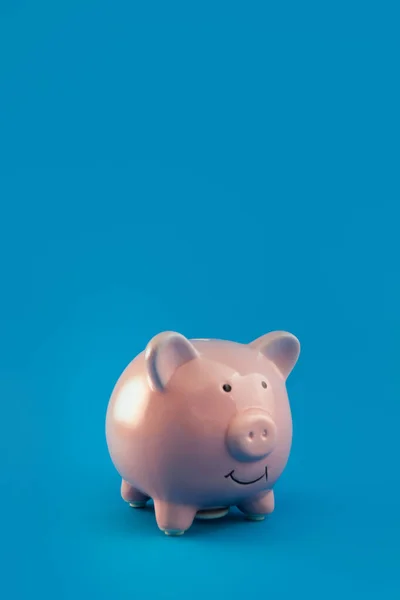 red piggy bank on blue background