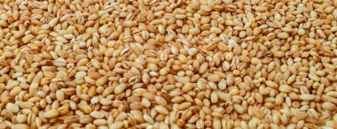 çiğ inci arpa deseni.