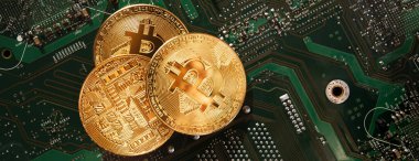 Bir bilgisayar mikro devresinin arka planında panoramik bit sikkeleri