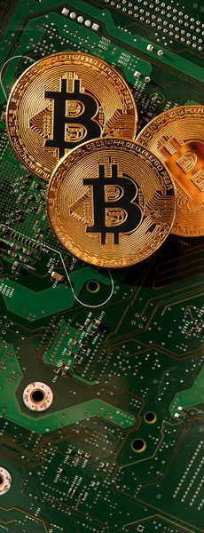 Bir bilgisayar mikro devresinin arka planında panoramik bit sikkeleri