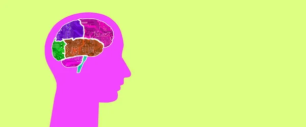 Panorama Głowy Wielobarwnym Mózgiem Wykonanym Mikroobwodów Kolorowym Tle — Zdjęcie stockowe