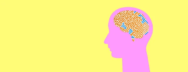 Mehrfarbiger Kopf Auf Farbigem Panorama Hintergrund Mit Einem Labyrinth Gehirn — Stockfoto