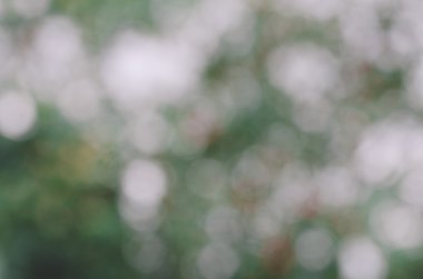 Yeşil bokeh arka plan 