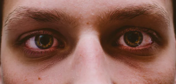 Бойцовские глаза крупным планом — стоковое фото
